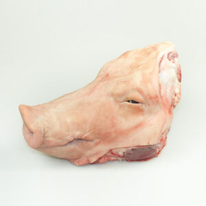 Head with cheekbone and without ears